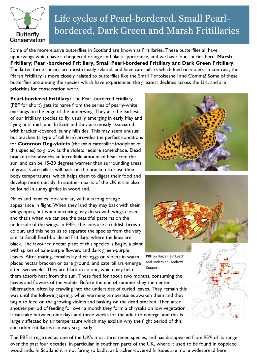 Life Cycles of Pearl-Bordered, Small Pearl- Bordered, Dark Green and Marsh Fritillaries