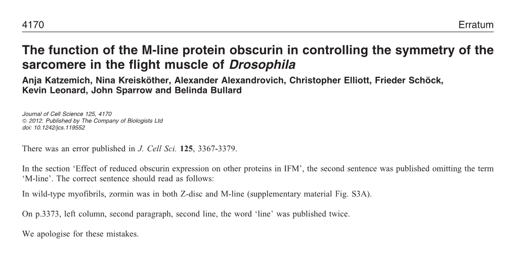 The Function of the M-Line Protein Obscurin in Controlling the Symmetry