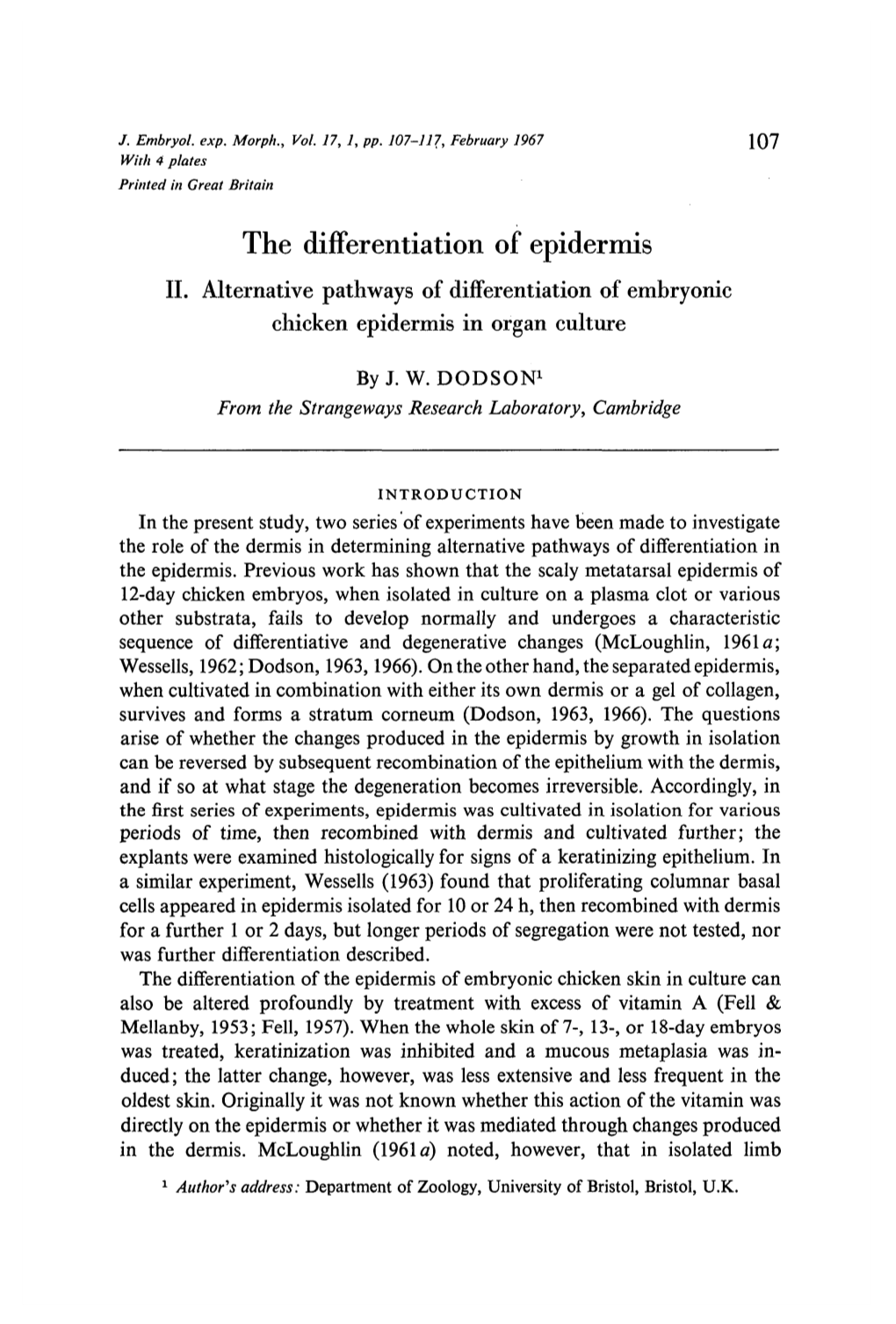 The Differentiation of Epidermis II