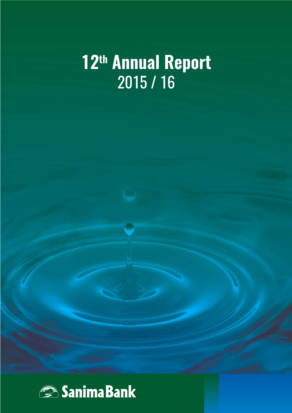 12Th Annual Report 2015 / 16 Board of Directors