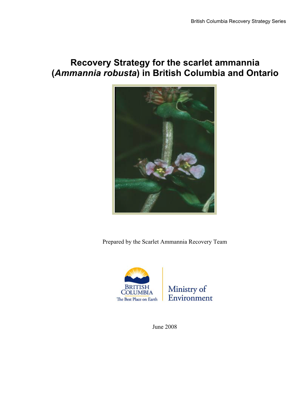 Recovery Strategy for the Scarlet Ammannia (Ammannia Robusta) in British Columbia and Ontario