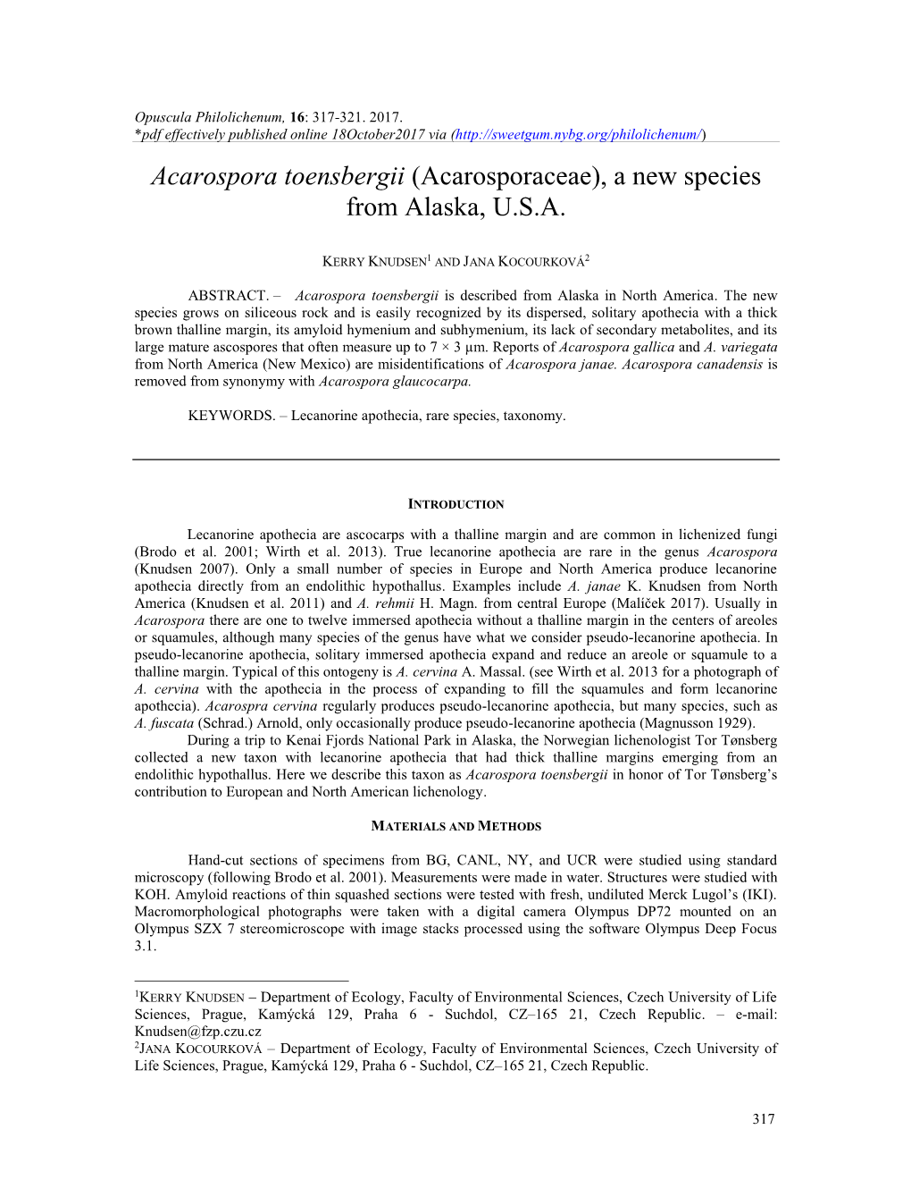 Acarospora Toensbergii (Acarosporaceae), a New Species from Alaska, U.S.A