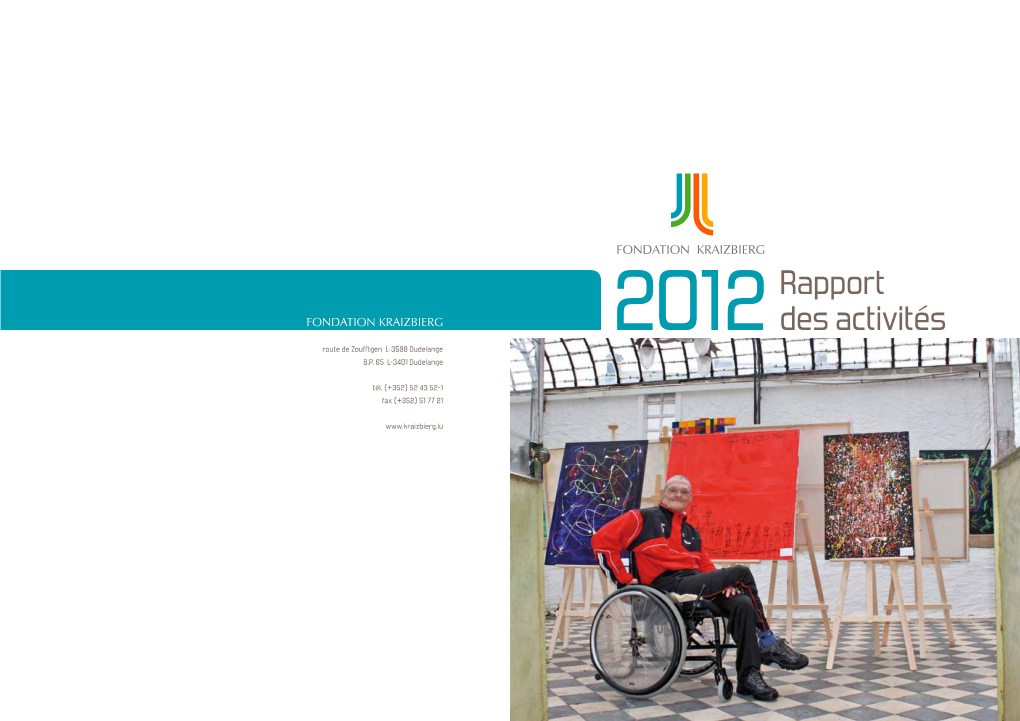 Rapport Des Activités 2012