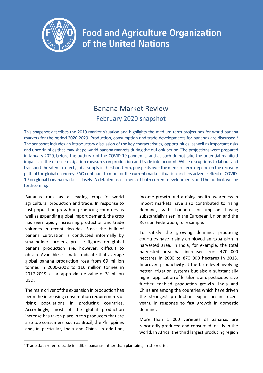 Banana Market Review: February 2020 Snapshot