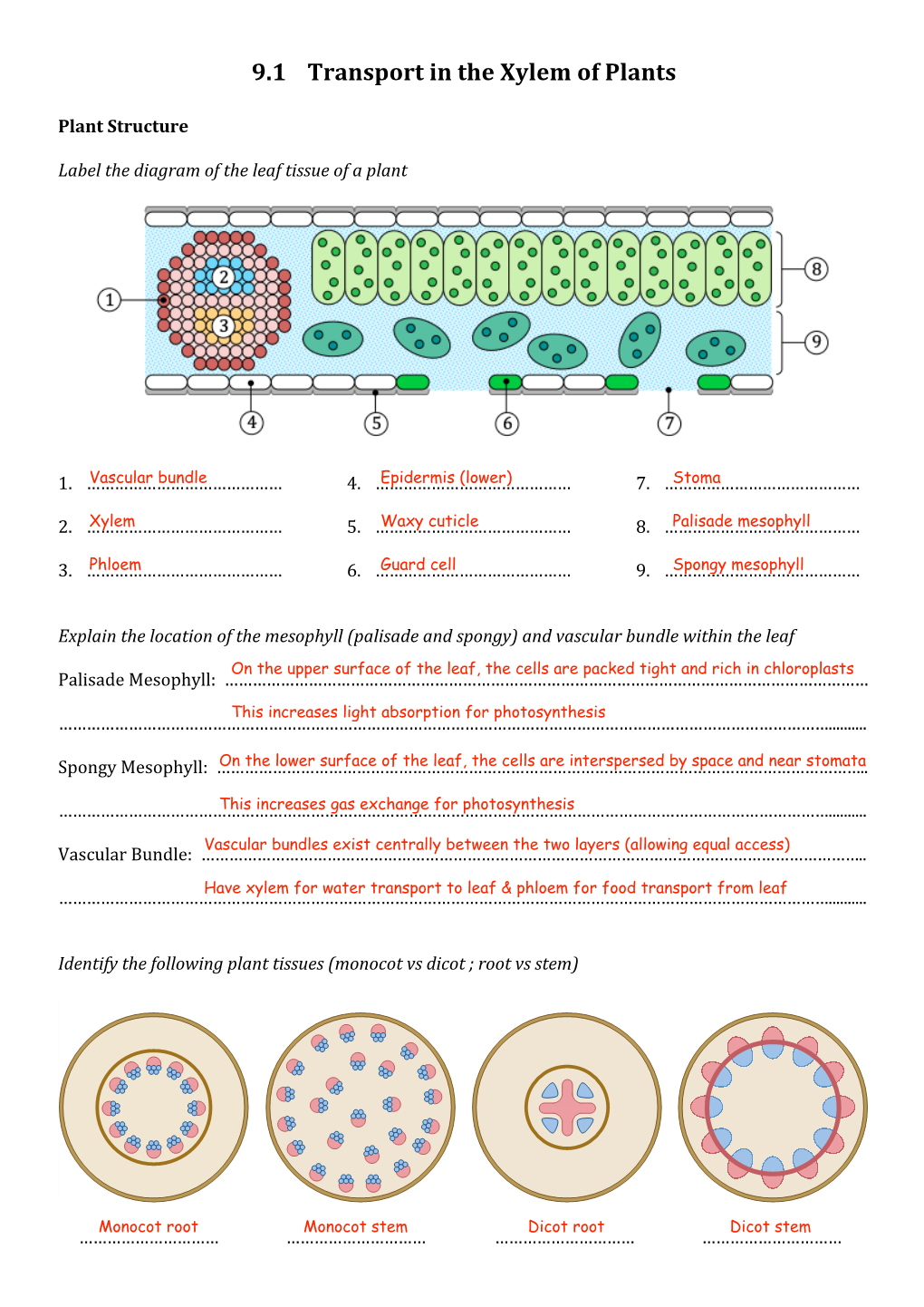 Topic 9.1 Answers