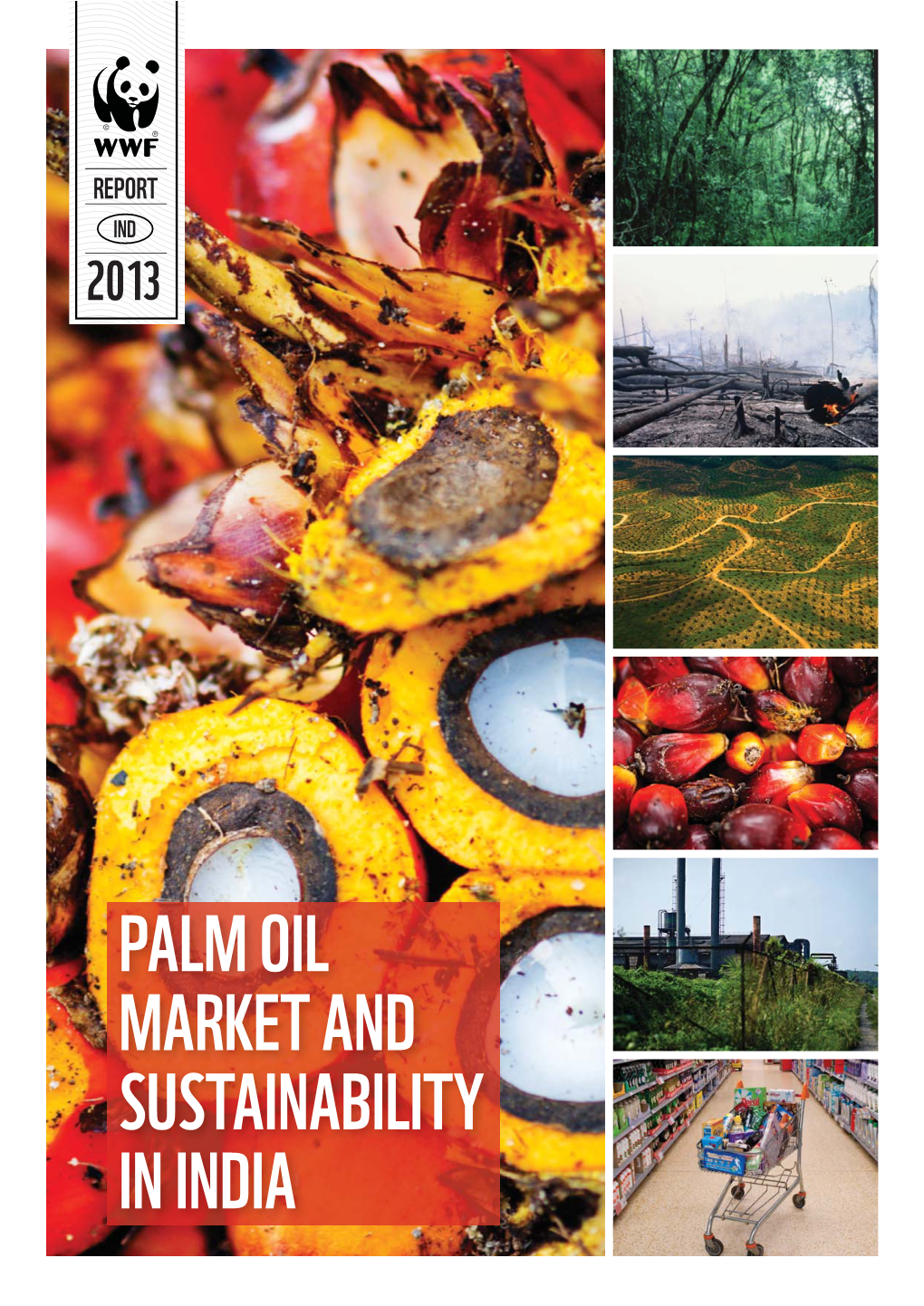 PALM OIL MARKET and SUSTAINABILITY in INDIA the Publication Is a Part of WWF’S Market Transformation Initiative