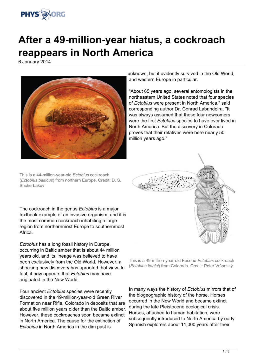After a 49-Million-Year Hiatus, a Cockroach Reappears in North America 6 January 2014