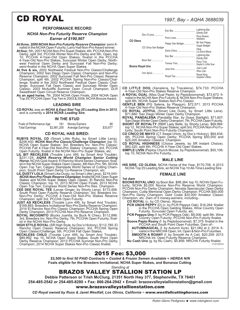 CD ROYAL 1997, Bay – AQHA 3688039 PERFORMANCE RECORD Doc Bar