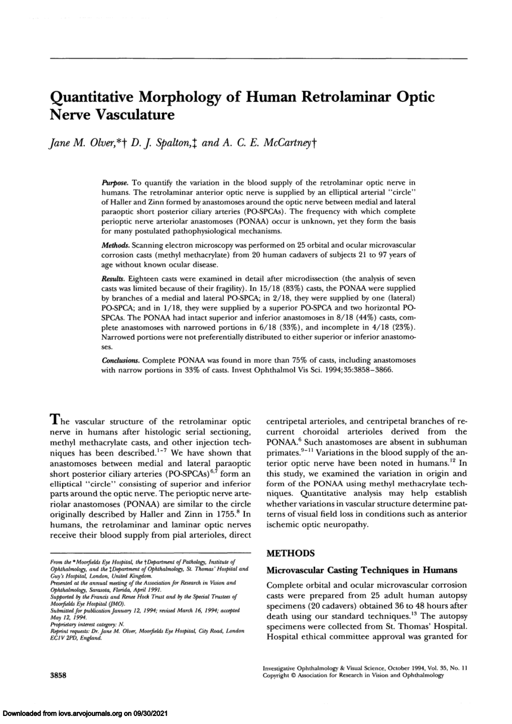 Quantitative Morphology of Human Retrolaminar Optic Nerve Vasculature