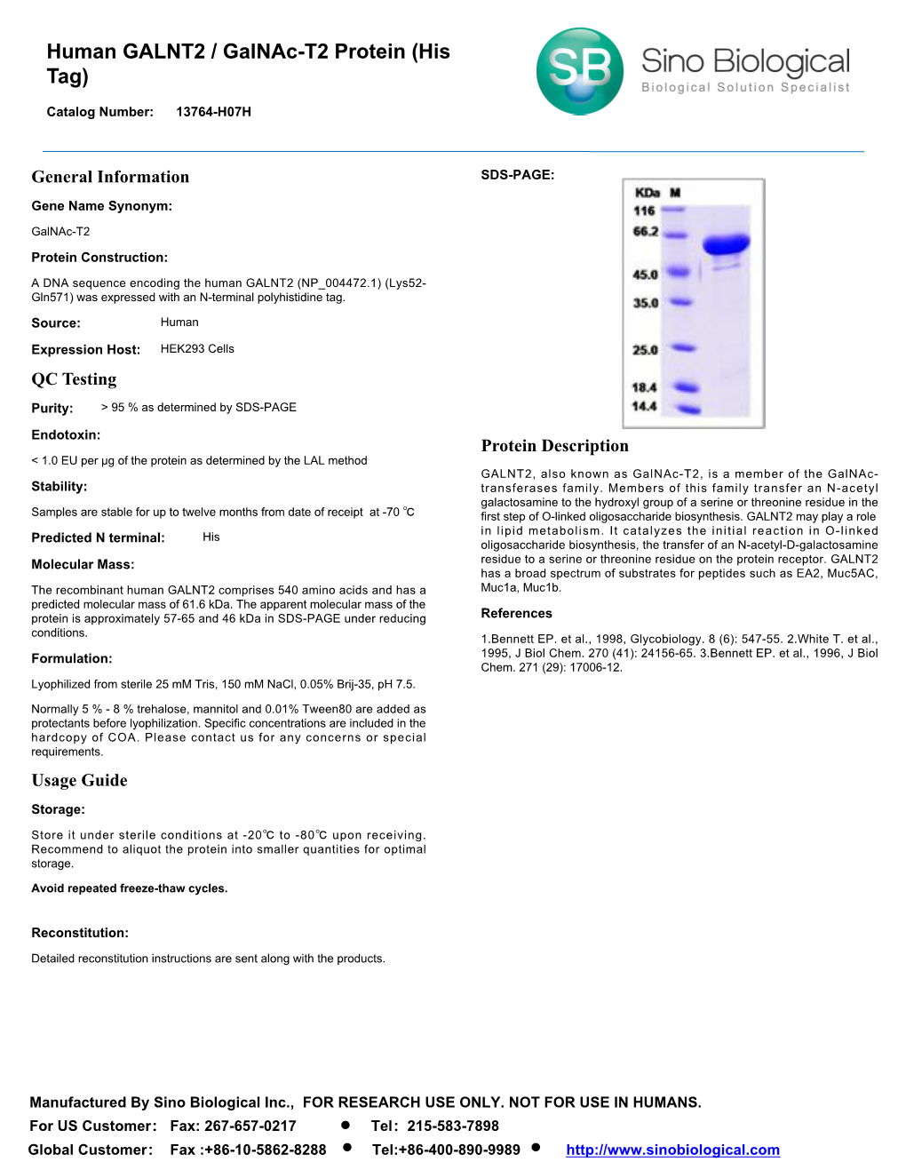 Human GALNT2 / Galnac-T2 Protein (His Tag)