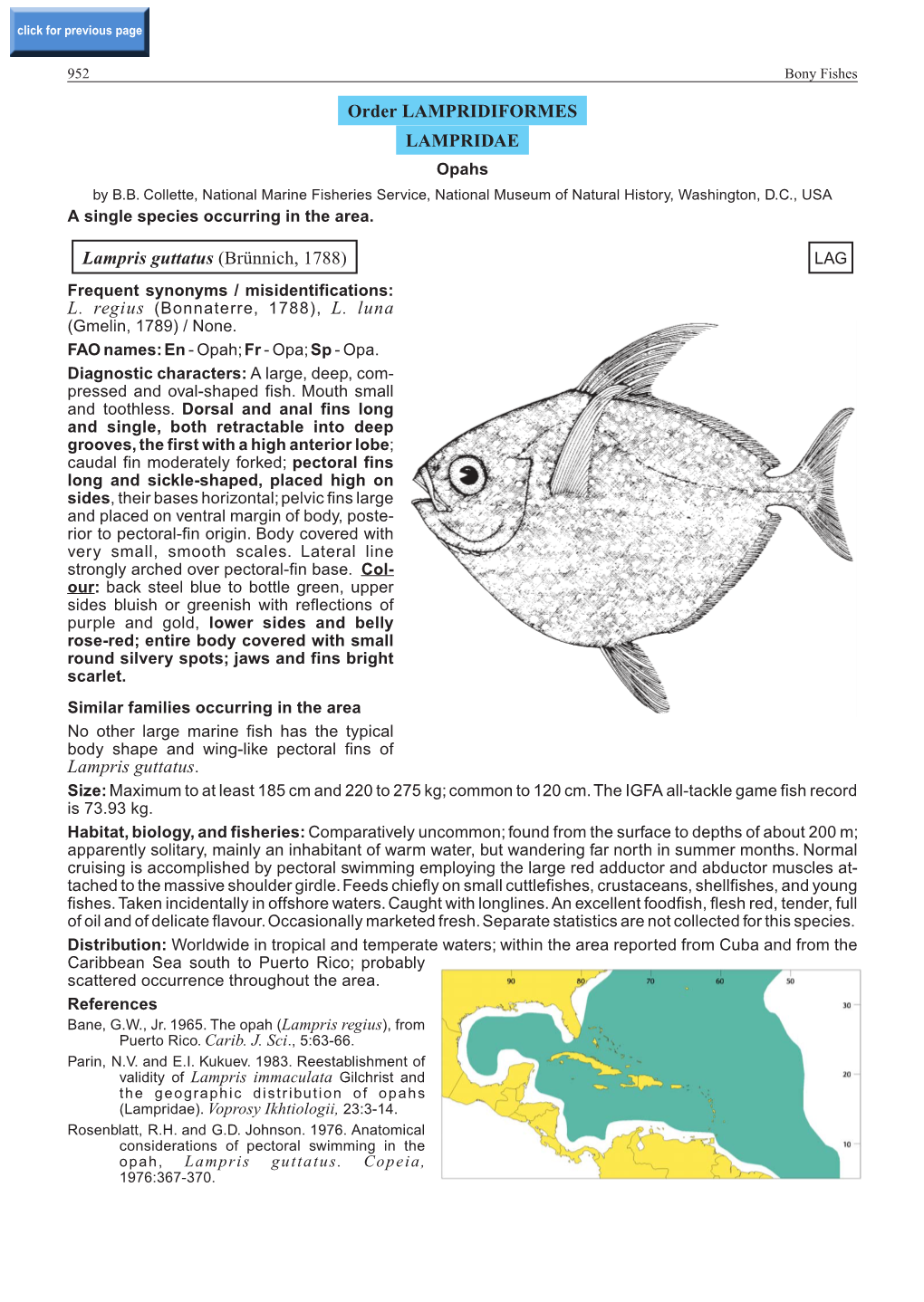 Order LAMPRIDIFORMES LAMPRIDAE Lampris Guttatus (Brünnich, 1788) Lampris Guttatus