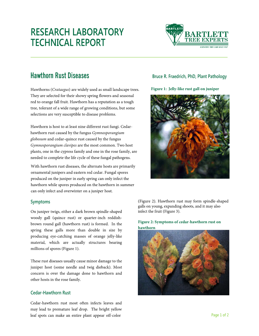 Hawthorn Rust Diseases Bruce R