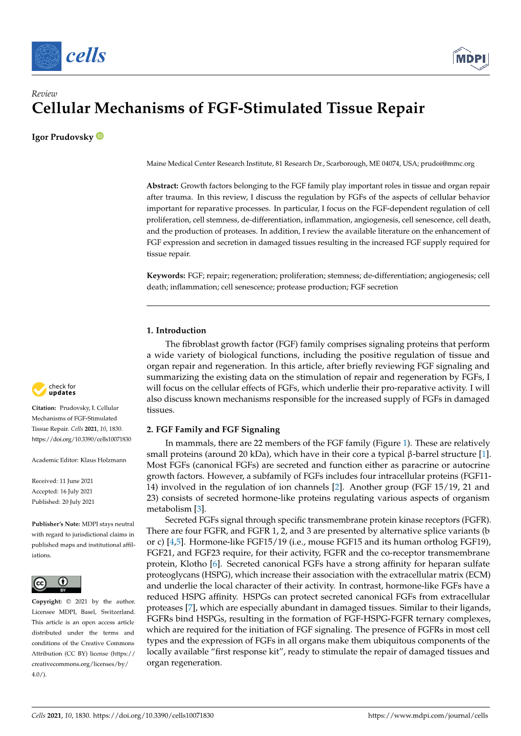 Cellular Mechanisms of FGF-Stimulated Tissue Repair