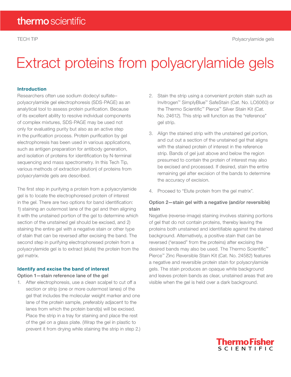 Technical Tip: Extract Proteins from Polyacrylamide Gels