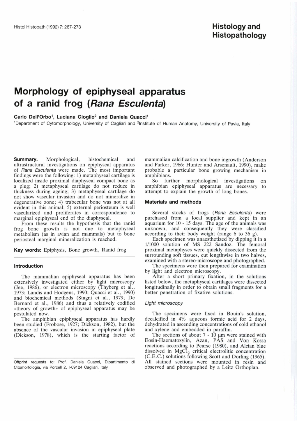 Morphology of Epiphyseal Apparatus of a Ranid Frog (Rana Esculenta)