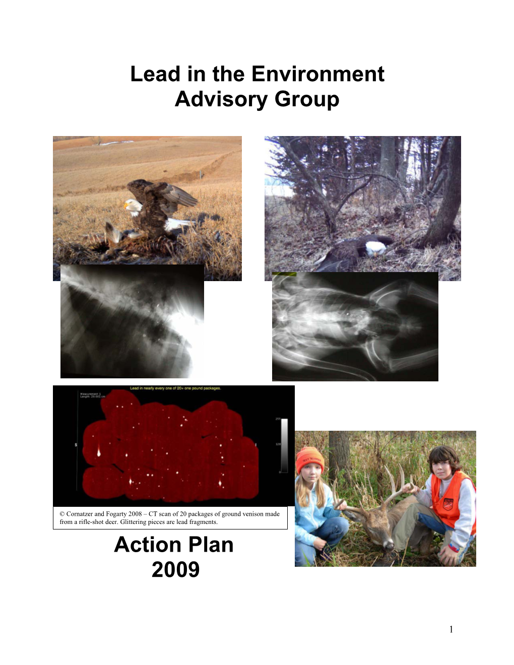 Lead in the Environment Advisory Group Action Plan 2009