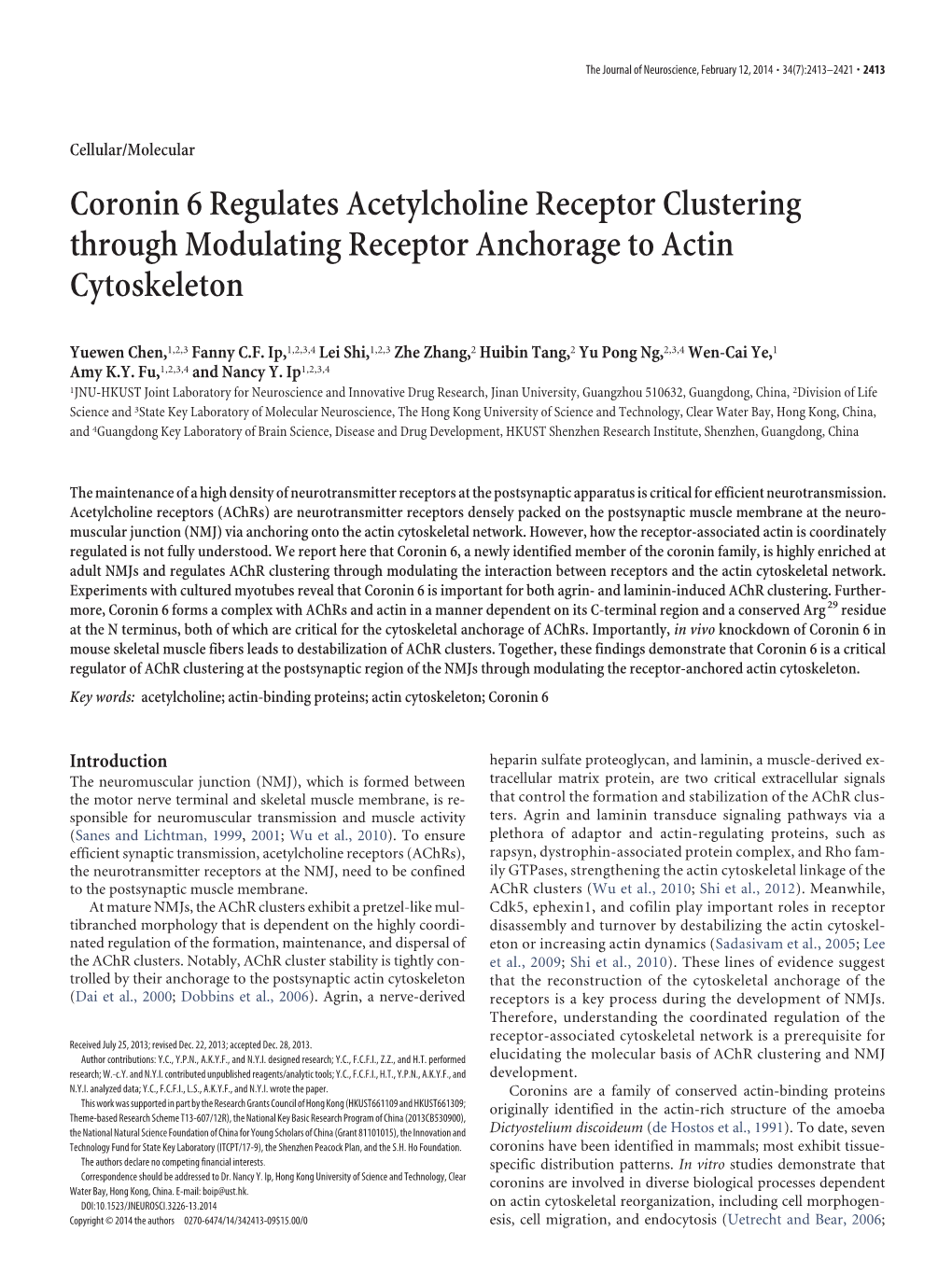 Coronin 6 Regulates Acetylcholine Receptor Clustering Through Modulating Receptor Anchorage to Actin Cytoskeleton