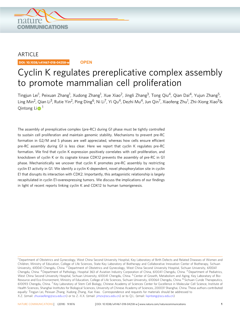 Cyclin K Regulates Prereplicative Complex Assembly to Promote Mammalian Cell Proliferation