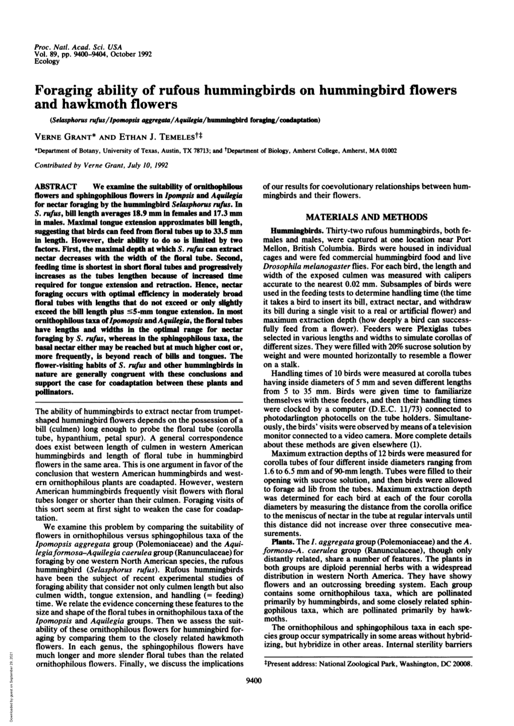 Foraging Ability of Rufous Hummingbirds On