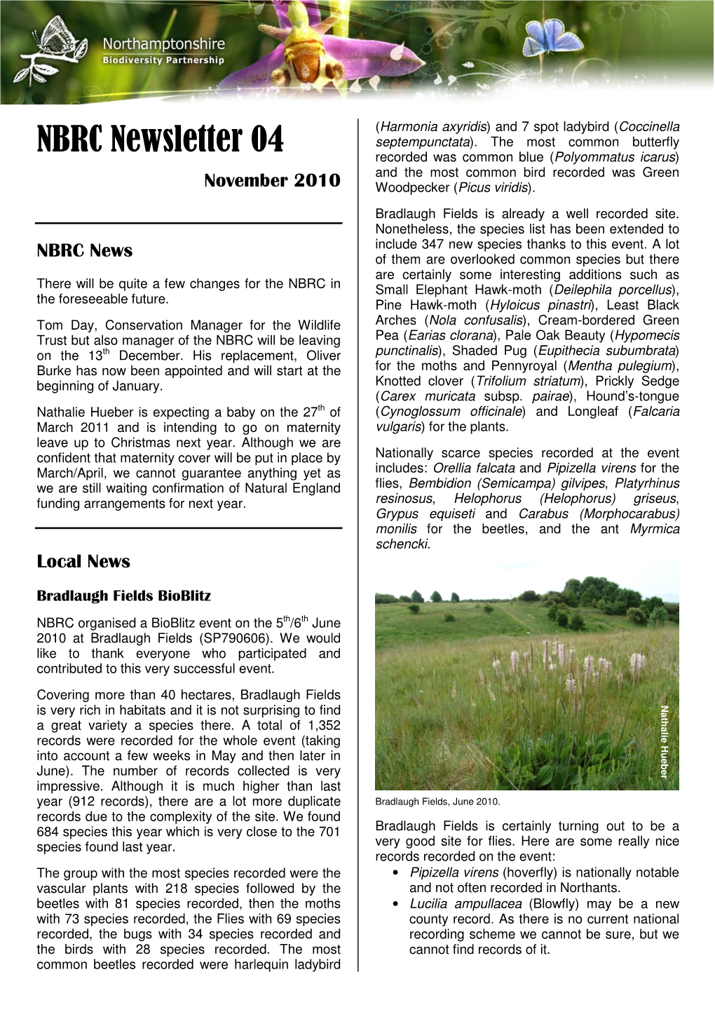 NBRC Newsletter 04 Septempunctata )