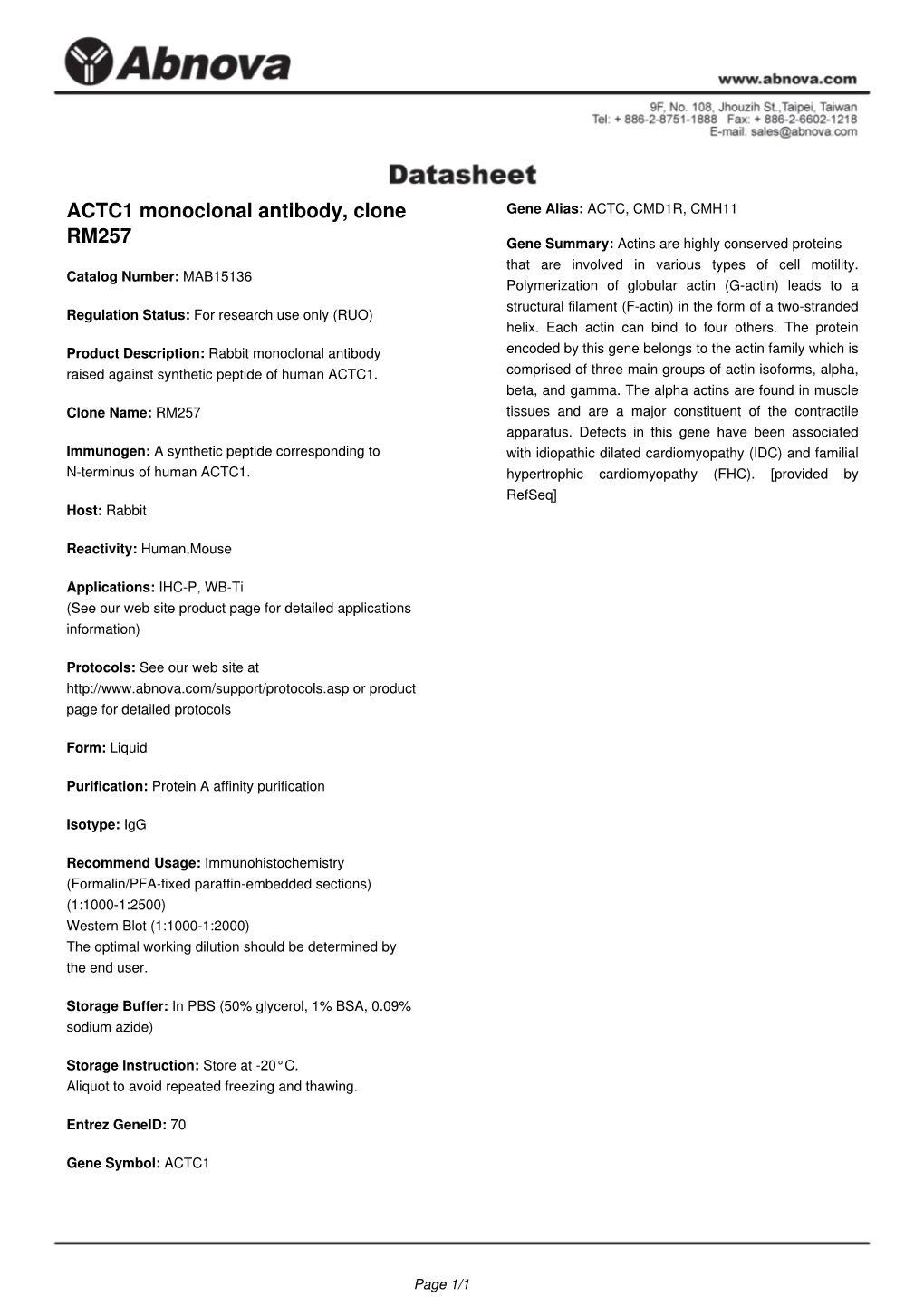 ACTC1 Monoclonal Antibody, Clone RM257