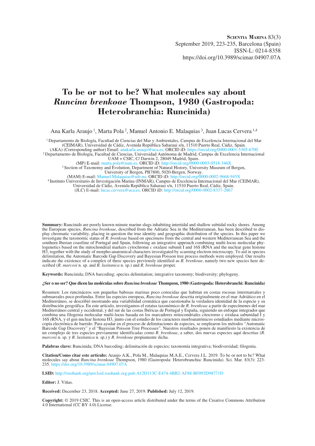 What Molecules Say About Runcina Brenkoae Thompson, 1980 (Gastropoda: Heterobranchia: Runcinida)