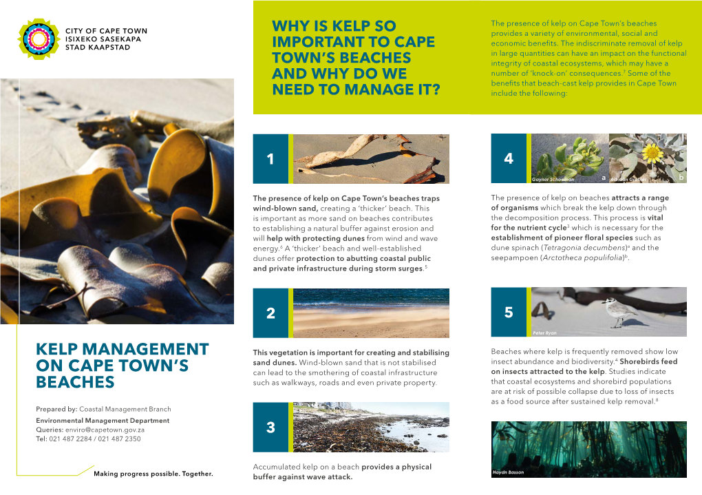 Kelp Management on Cape Town's Beaches