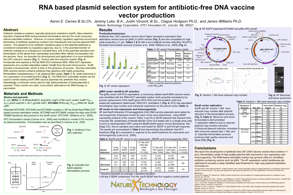 Rna Based Plasmid Selection System for Antibiotic-Free Plasmid Dna