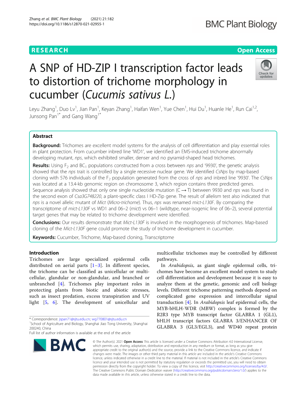 A SNP of HD-ZIP I Transcription Factor Leads to Distortion of Trichome