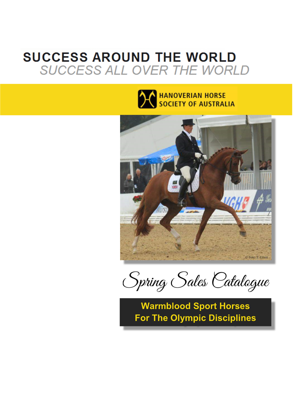 Warmblood Sport Horses for the Olympic Disciplines