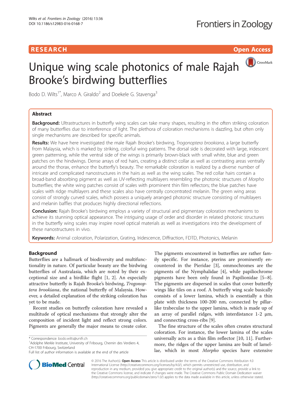 Unique Wing Scale Photonics of Male Rajah Brooke's Birdwing Butterflies