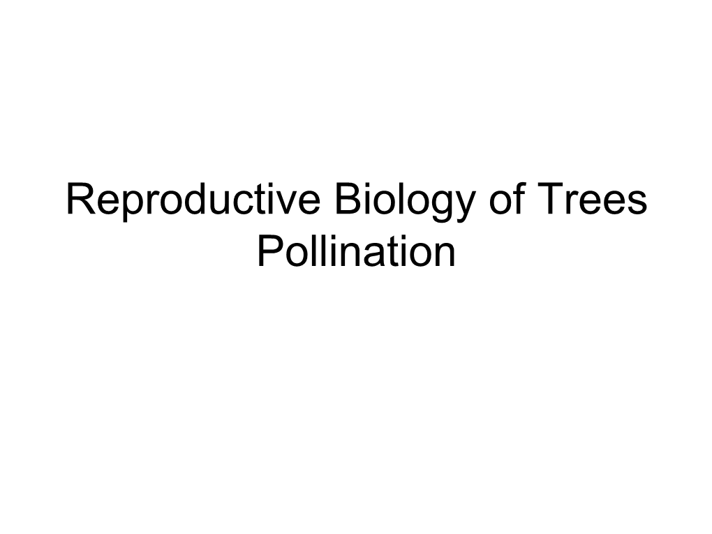 Reproductive Biology of Trees Pollination Wind-Pollination Syndrome