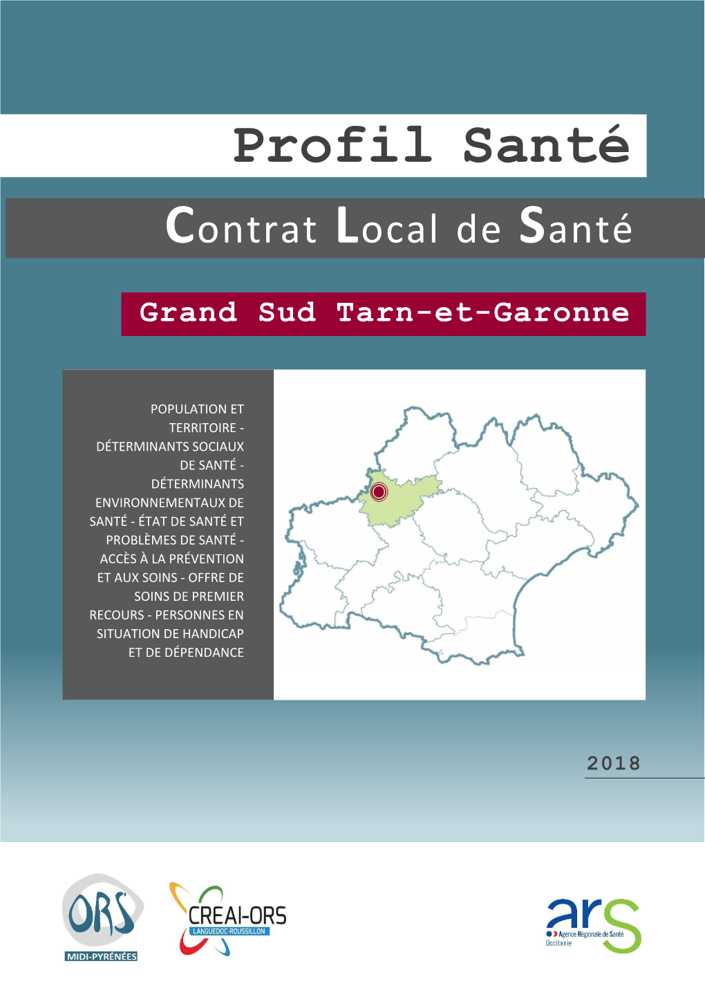 PROFIL SANTÉ GRAND SUD TARN-ET-GARONNE ORS Midi-Pyrénées – CREAI-ORS Languedoc-Roussillon Chapitre