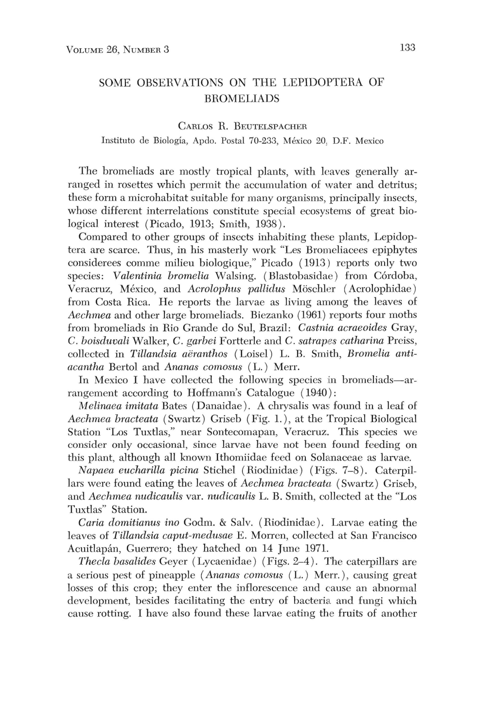 C. Boisduvali Walker, C. Garbei Fortterle and C. Satrapes Eatharina Prciss, Collected in Tillandsia Aeranthos (Loisel) L