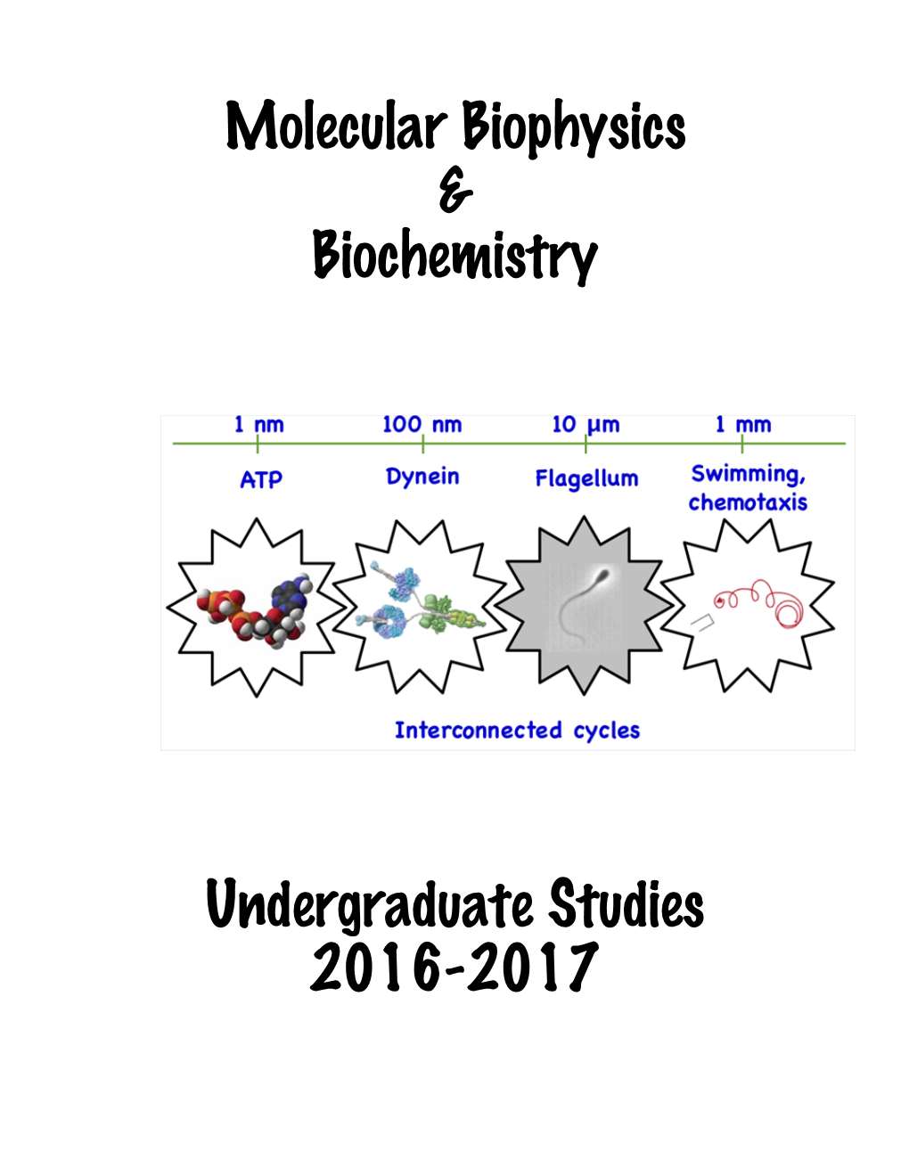 Molecular Biophysics & Biochemistry Undergraduate Studies 2016-2017