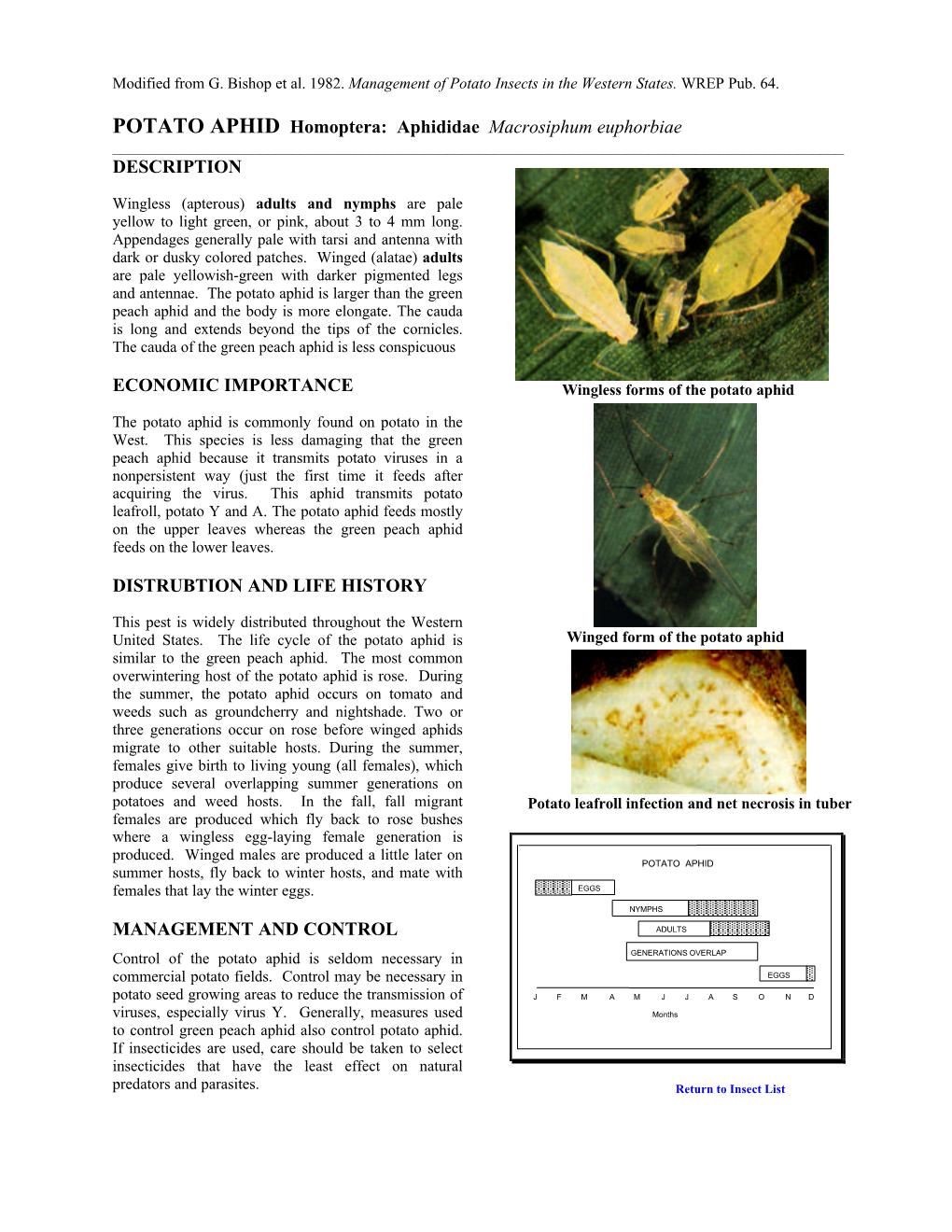 POTATO APHID Homoptera: Aphididae Macrosiphum Euphorbiae DESCRIPTION ECONOMIC IMPORTANCE DISTRUBTION and LIFE HISTORY MANAGEMEN