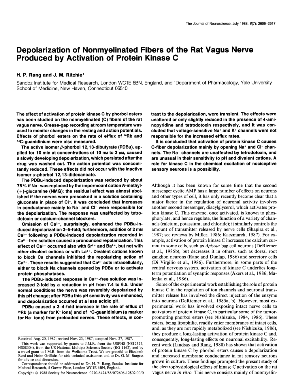 Depolarization of Nonmyelinated Fibers of the Rat Vagus Nerve Produced by Activation of Protein Kinase C