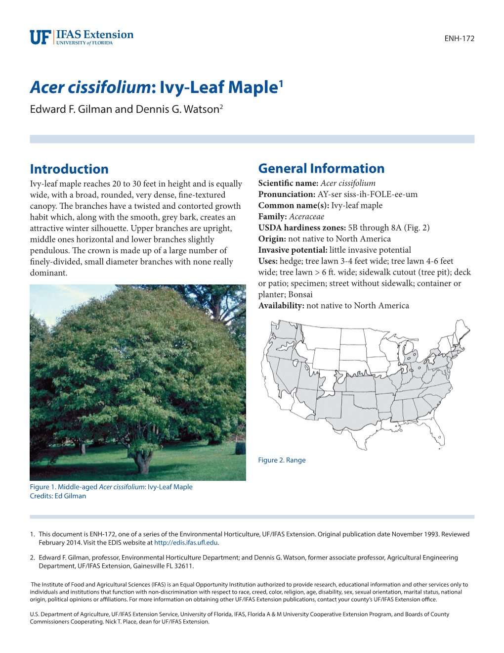 Acer Cissifolium: Ivy-Leaf Maple1 Edward F