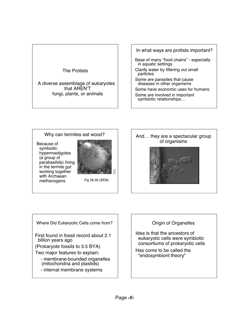 Page ‹#› Lynn Margulis the Ideas of the Endosymbiont Theory (Fig 25.9)