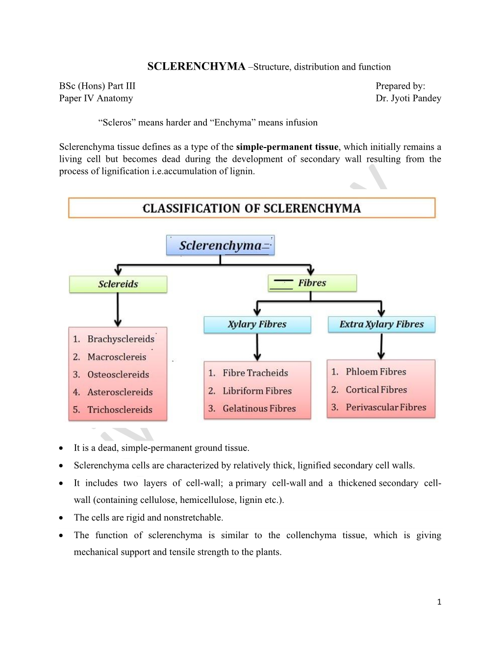 SCLERENCHYMA –Structure, Distribution and Function Bsc (Hons) Part III Prepared By: Paper IV Anatomy Dr. Jyoti Pandey