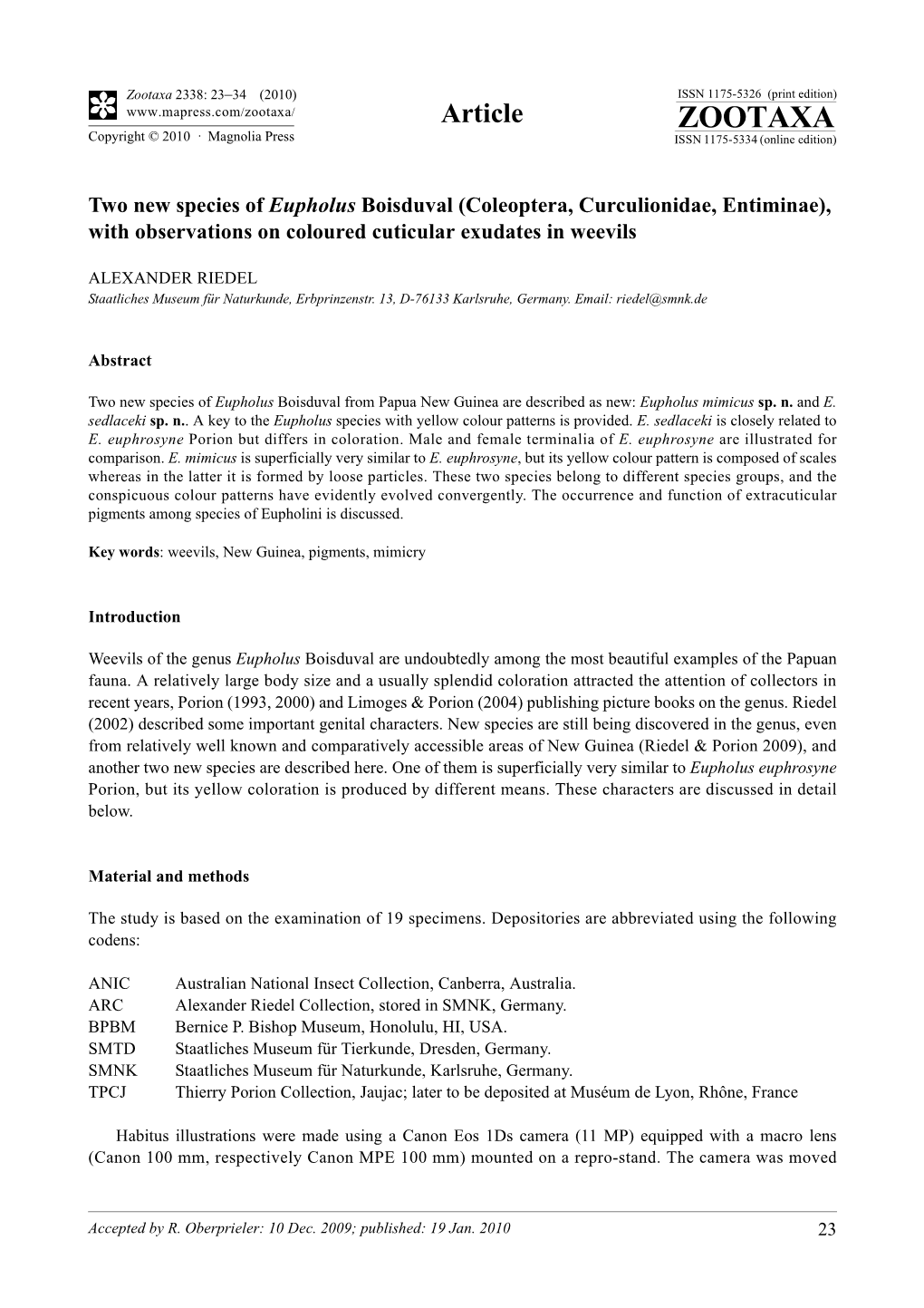 Zootaxa, Two New Species of Eupholus Boisduval