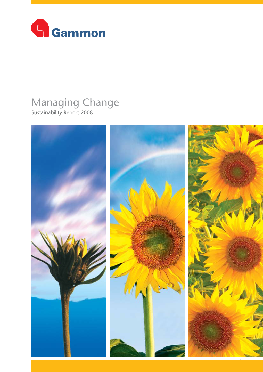 Managing Change Sustainability Report 2008