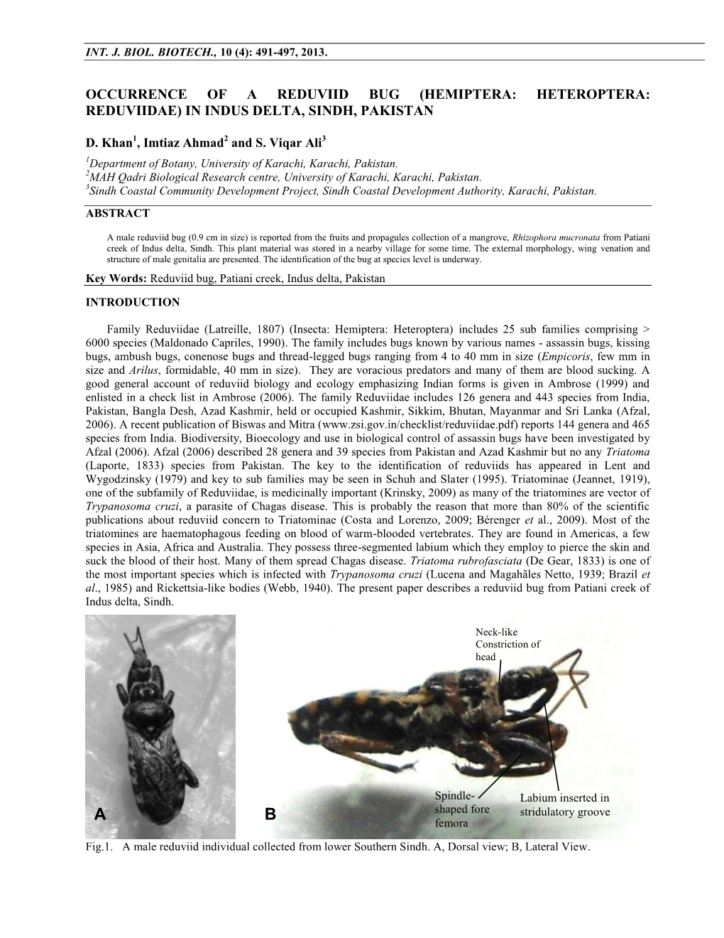 Occurrence of a Triatomine Species in the Lower Southern Sindh, Pakistan