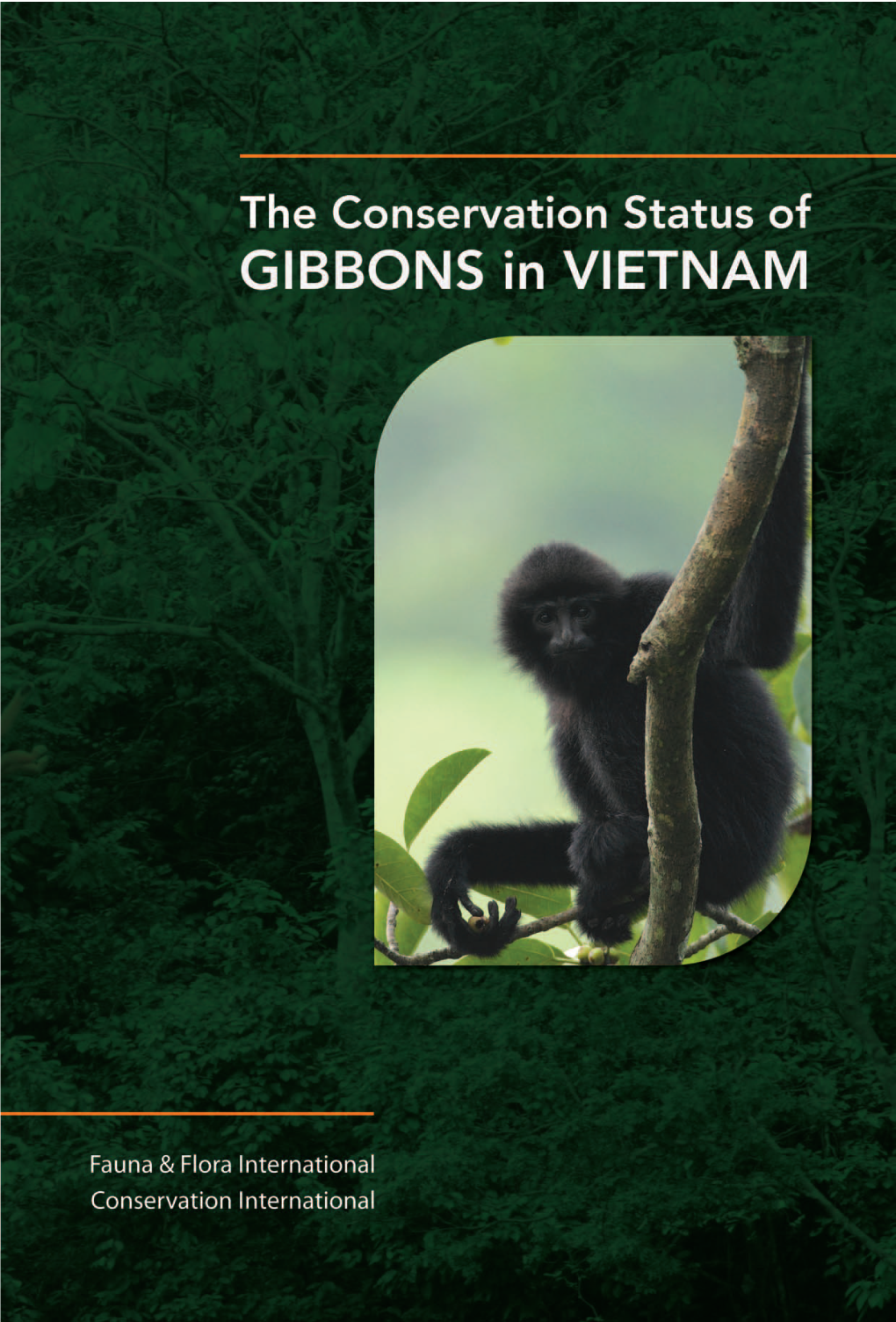 The Conservation Status of Gibbons in Vietnam