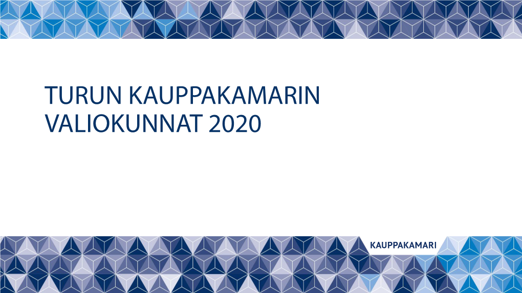 TURUN KAUPPAKAMARIN VALIOKUNNAT 2020 Elinkeinopolitiikan Valiokunta