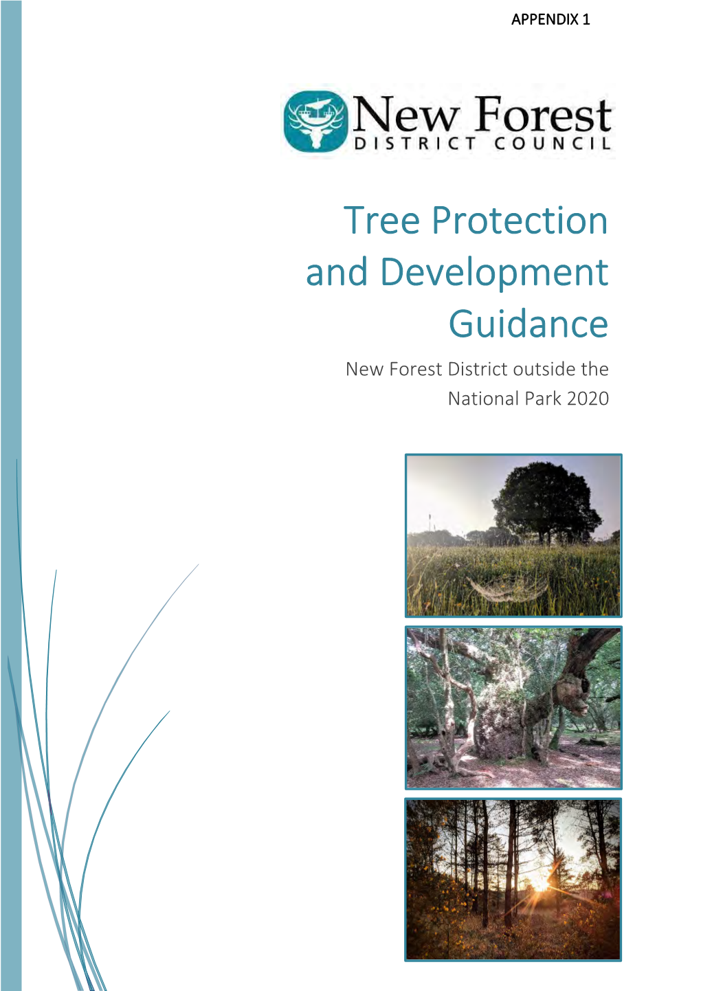Tree Protection and Development Guidance New Forest District Outside the National Park 2020 Page | 1