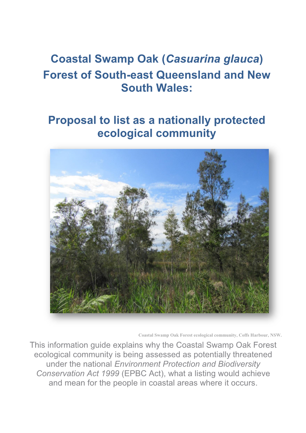 Consultation Guide for Coastal Swamp Oak (Casuarina Glauca