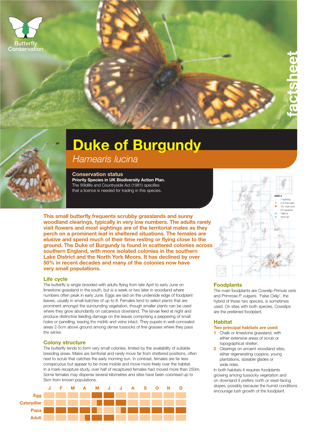 Duke of Burgundy Priority Species Factsheet