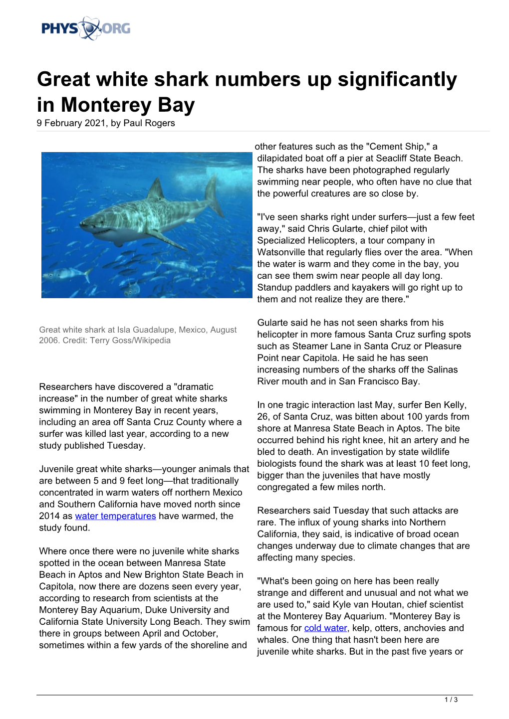 Great White Shark Numbers up Significantly in Monterey Bay 9 February 2021, by Paul Rogers