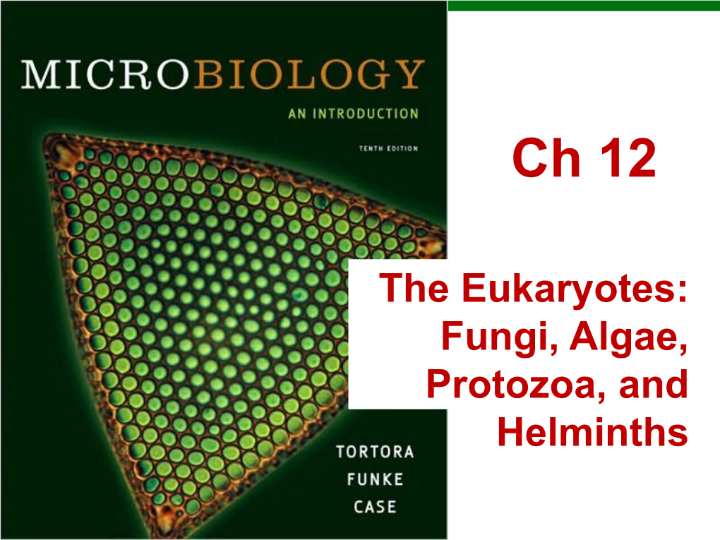 The Eukaryotes: Fungi, Algae, Protozoa, and Helminths